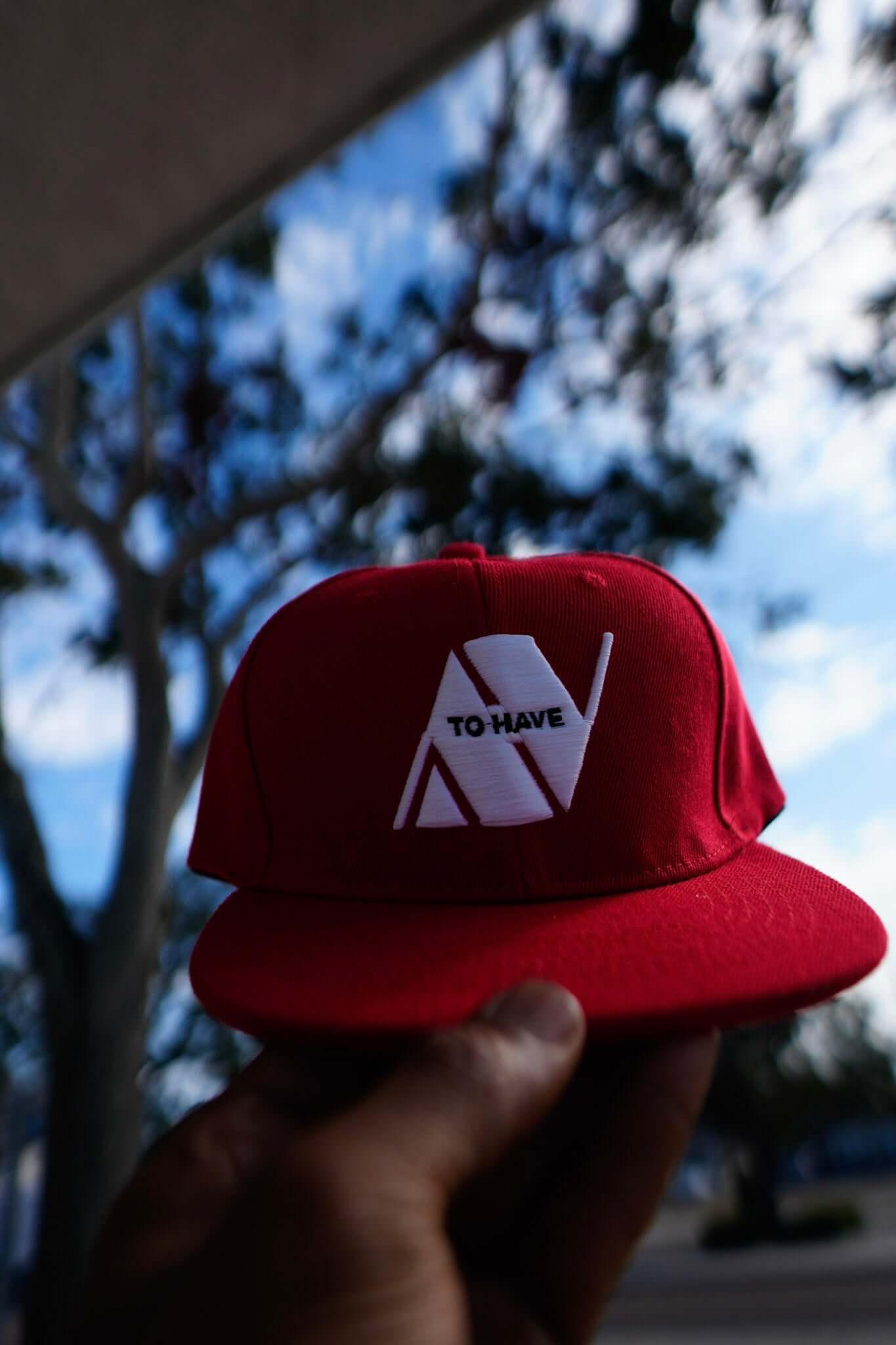 premium snapback hats