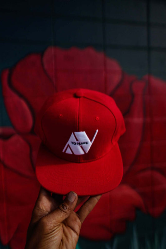 premium snapback hats